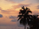 sunset in airlie beach