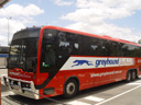 the greyhound bus to brisbane