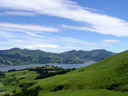 on the otago peninsula