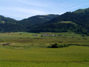 schwemm, the biggest preserved bog in tirol