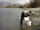 sabine, elutriating a specimen