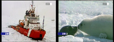 seal hunters stuck in pack ice