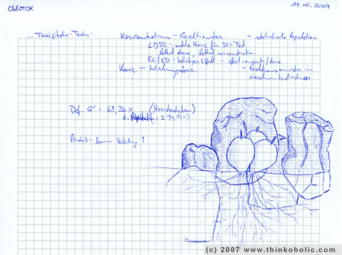 drawing of conophytum calculus