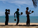 coconut harvest - mathias, markus & rene