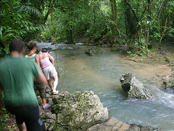 walking through the rain in khao sok rainforest, thailand