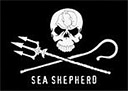 sea shepherd flag