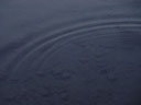 ripples in the water