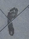 footprint