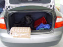 scully, trying to stow away. 2004-08-08, Sony Cybershot DSC-F717.