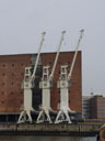 cranes. 2004-09-11, Sony Cybershot DSC-F717.
