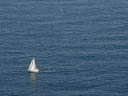 sailboat. 2004-09-30, Sony Cybershot DSC-F717.