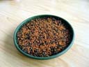 2004-03-13 16:38 - freshly sown cress. 2005-03-13, Sony Cybershot DSC-F717.
