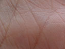 my palm. 2005-04-16, Sony Cybershot DSC-F717.