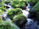 stream. 2005-06-11, Sony Cybershot DSC-F717.