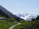 aifner alm, with glaciers in the background