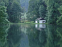 a calm pond - same subject, different settings. 2005-08-19, Sony Cybershot DSC-F717.