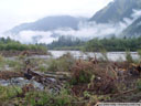 recently inundated waterside