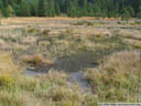 riedener see - reminds a lot of ''lord of the rings''