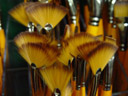 brushes in an artstore