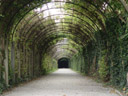 sound of music arch