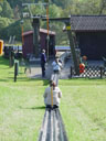 at the sommerrodelbahn