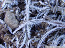 frost, noch in der mittagszeit || foto details: 2005-10-30, villanderer alm / south tyrol / italy, Sony Cybershot DSC-F717.