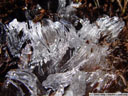 ice, growing like grass. 2005-10-30, Sony Cybershot DSC-F717.