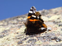 red admiral (vanessa atalanta). 2005-10-30, Sony Cybershot DSC-F717.