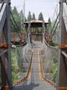 the lori cage, at jurong birdpark