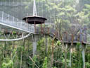 the lori cage, at jurong birdpark. 2005-11-11, Sony Cybershot DSC-F717.