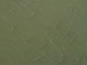 fische im 