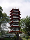 in the chinese garden