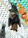 mum & cub. 2005-11-17, Sony Cybershot DSC-F717. keywords: pteropus conspicillatus, spectacled flying-fox, brillenflughund