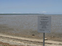 they certainly did their job! extensive mangrove removal. 2005-11-26, Sony Cybershot DSC-F717.