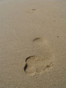 footprints