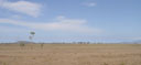 panorama: steppe südl. von townsville || foto details: 2005-11-28, townsville / qld / australia, Sony Cybershot DSC-F717.