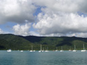 sailboats, at shute harbor