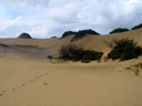 one of fraser island's sand dunes. 2005-12-01, Sony Cybershot DSC-F717.