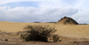 panorama: sand dune, near 'the spring'