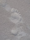footprint. 2005-12-01, Sony Cybershot DSC-F717.