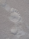 footprint