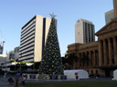 riesiger weihnachtsbaum im hochsommer *säufz* || foto details: 2005-12-03, brisbane / qld / australia, Sony Cybershot DSC-F717.