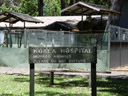 the koala hospital. 2005-12-05, Sony Cybershot DSC-F717.