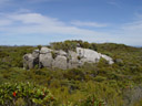 am plateau || foto details: 2005-12-17, codfish island, new zealand, Sony Cybershot DSC-F717.