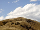 marlborough hills. 2006-01-02, Sony Cybershot DSC-F717. keywords: [] hills, golden, dry grass,