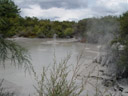 mudpools, about 10 minutes from wai-o-tapu. 2006-01-05, Sony Cybershot DSC-F717.