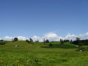 hills like hobbiton. 2006-01-06, Sony DSC-F717.