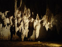 stalactites. 2006-01-06, Sony DSC-F717.