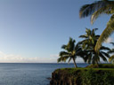 susie's plantation || foto details: 2006-01-13, taveuni, fiji, Sony DSC-F717.