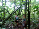 quer durch den regenwald || foto details: 2006-01-14, taveuni, fiji, Sony DSC-F717.